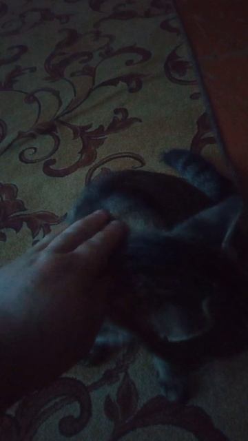 приболдел смотреть онлайн