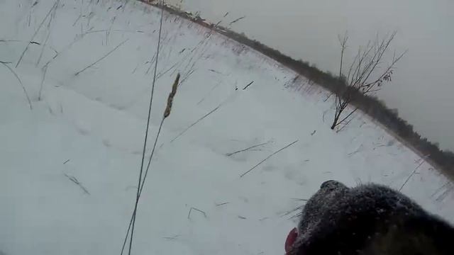 Закрепил на ПСА камеру в качестве эксперимента :) смотреть онлайн