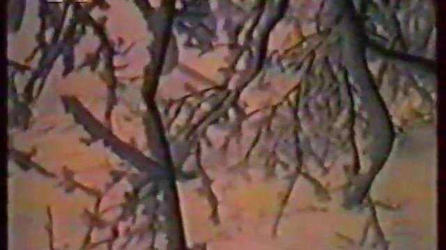 Информационные сюжеты 1995-99.mpg смотреть онлайн