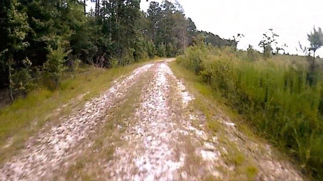 Motorized Bicycle 100cc Iron sleeve - Rip through Deep South Swamps! смотреть онлайн