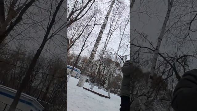 сумасшедшие эксперименты около школы смотреть онлайн