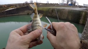 Трудовая рыбалка на микро джиг зимой.