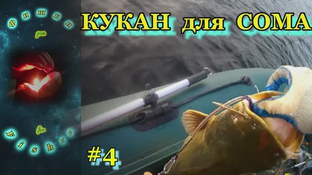 КУКАН для СОМА. Ловля сома с квоком. #рыбалка #сом_на_квок #ловля_сома
