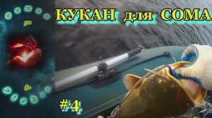 КУКАН для СОМА. Ловля сома с квоком. #рыбалка #сом_на_квок #ловля_сома