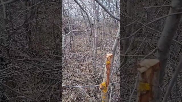 часть 4. К нам приехал, к нам приехал... Геодезиста ждали 2,5 часа смотреть онлайн