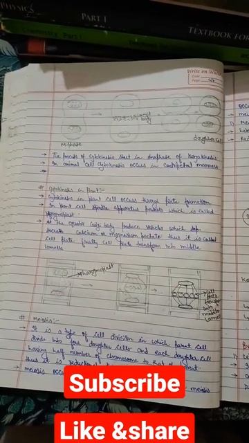 notes of cell division class 11 смотреть онлайн