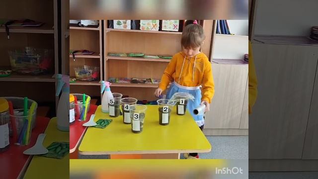 Краткосрочный проект Тема: "Исследования почвы для роста семян" смотреть онлайн