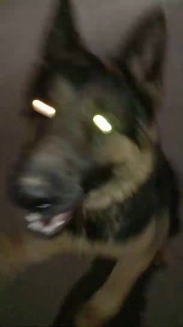 выбил телефон 2 раза, 9 месяцев смотреть онлайн