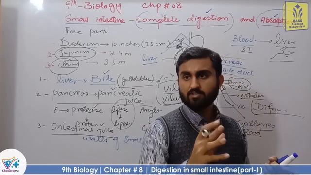 Digestion in small intestine part-II | Smart syllabus | Chapter 8 | 9th class Biology | Lec 14 смотреть онлайн