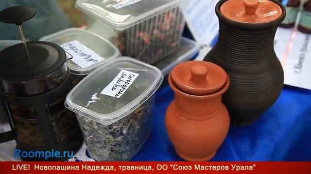 ROOMPLE LIVE. ЭКОЛОГИЧЕСКИЙ ФЕСТИВАЛЬ смотреть онлайн