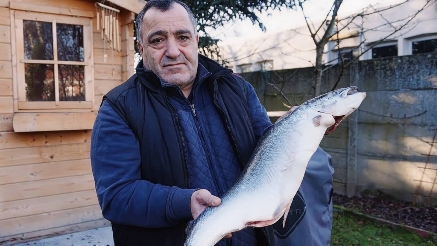 3 рецепта приготовления рыбы на мангале. Как замариновать рыбу для мангала (два рецепта маринада) смотреть онлайн