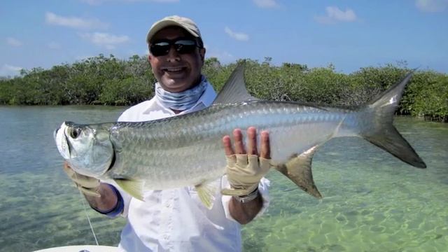 Fly Fishing Cuba -Tarpon season 2010- Fly Fishing the Run смотреть онлайн