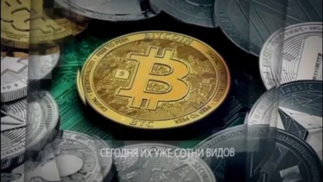 Социальная сеть НАСВЯЗИ: крипто лихорадка ABSOLUTME для всех смотреть онлайн