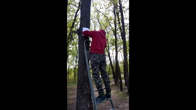 Соблюдайте чистоту.Убирайте за собой.Берегите природу. смотреть онлайн