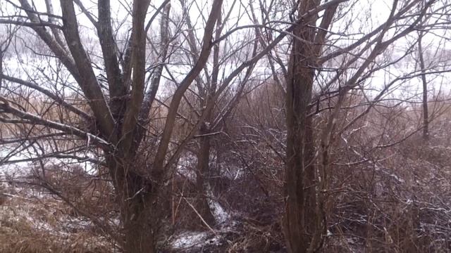 Источник св. Параскевы Пятницы, с. Хвощеватка, Рамонский р-он. г. Воронеж. смотреть онлайн