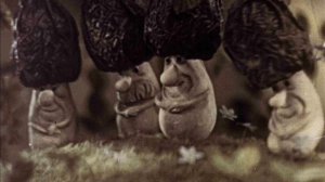 Война грибов с ягодами. Русская народная сказка в пересказе В. И. Даля. Читает Дмитрий Васянович