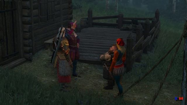 Ведьмак 3: Дикая Охота. 11 серия. (На Скеллиге)