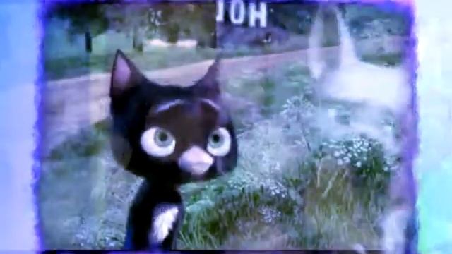 whoah-oh-oh-hello seattle~ смотреть онлайн