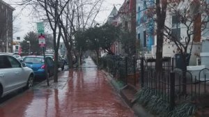 Прогулка под легким дождем в Вашингтоне, округ Колумбия, атмосфера дождя
