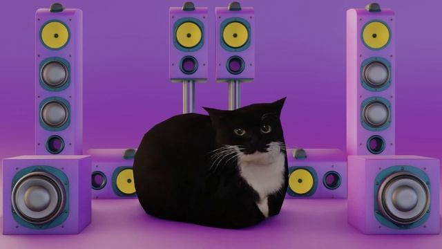 Maxwell the cat (drum and bass ) смотреть онлайн