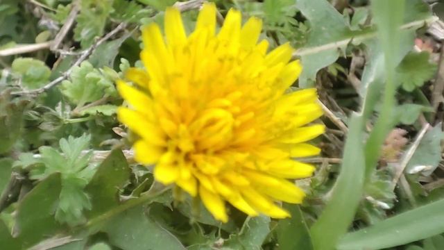 Молитва очищения пространства смотреть онлайн