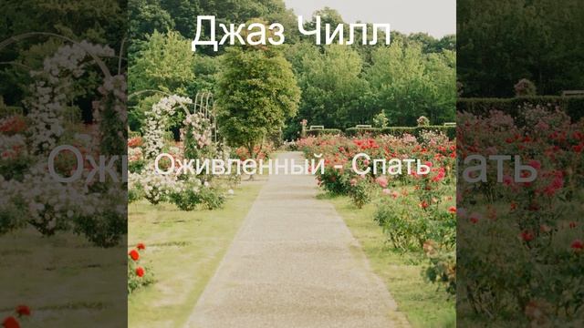 Зрелищный Розничные магазины - Объем памяти смотреть онлайн