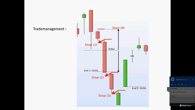 [NL] Fragment swing trading coaching смотреть онлайн