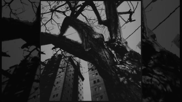 spiral смотреть онлайн