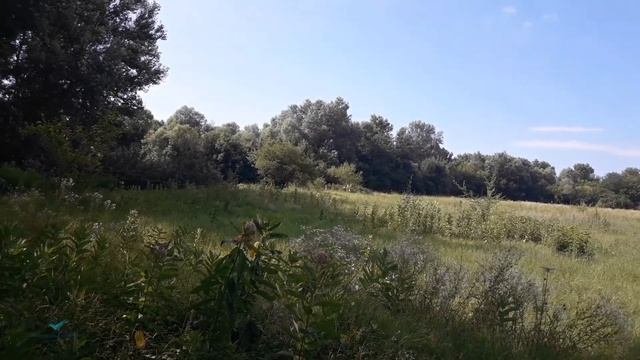 Природа во круг нас. смотреть онлайн
