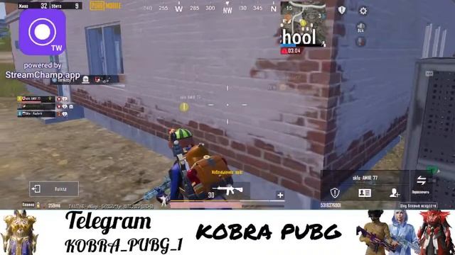 KOBRA PUBG СТРИМ Играем в классику и TDM🥷 смотреть онлайн