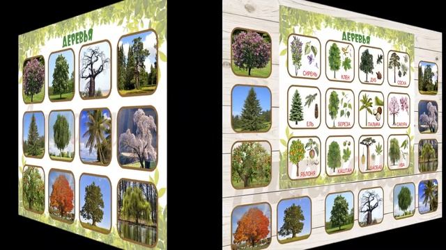 Деревья смотреть онлайн