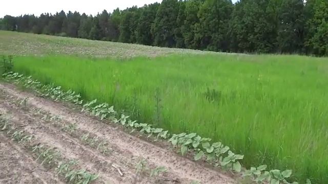 Шпитьки. 1,72 Га. Продажа смотреть онлайн