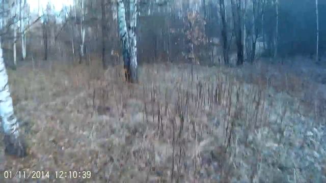 игра лт 01-11-2014 # 1 смотреть онлайн