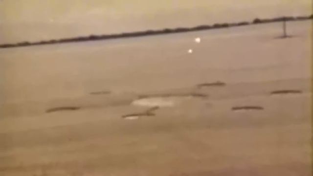 вот как образуются круги на полях смотреть онлайн