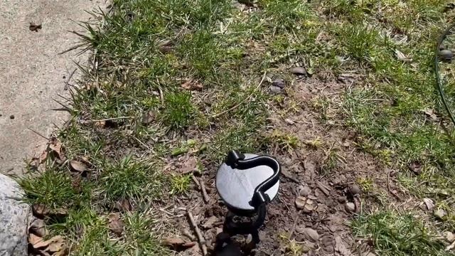 15ft Dog Tie Out Cable and Stake Review, Keeping My Dog In A Safe Area смотреть онлайн