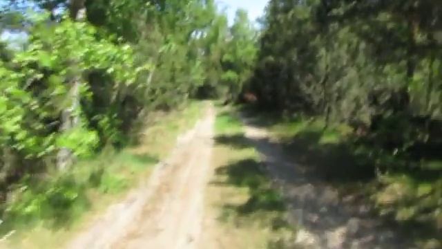 Куршская коса Спускаюсь по дороге с горы Эфа смотреть онлайн