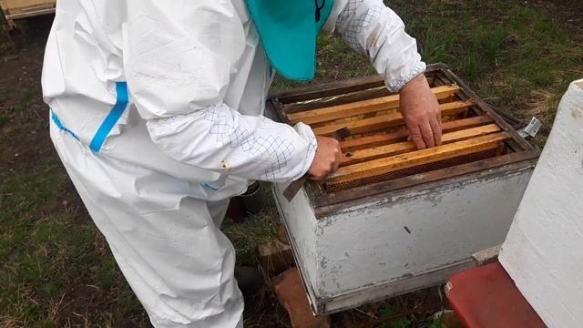 Ближний точок | Петух и пчелы | ГВР | 722. 00 смотреть онлайн