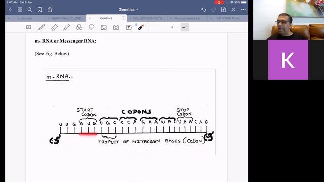 GENETICS 6TH LECTURE MRNA STRUCTURE смотреть онлайн
