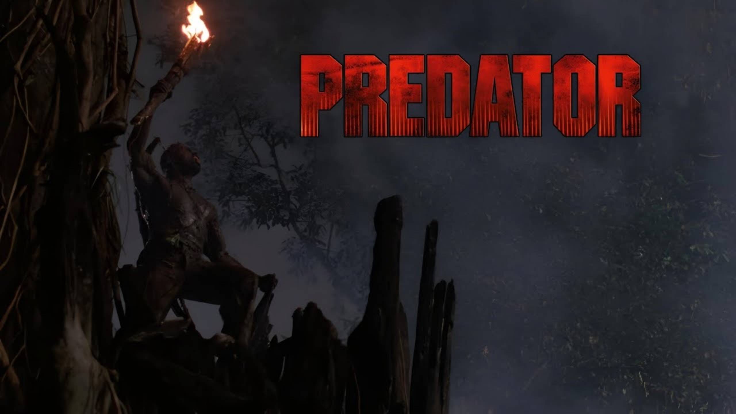 Predator (1987) | Ambient Soundscape | Arnold, Study, Jungle, Suspense