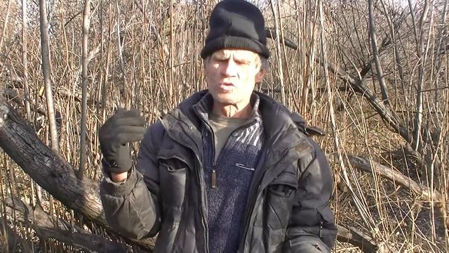 Рай на земле! смотреть онлайн