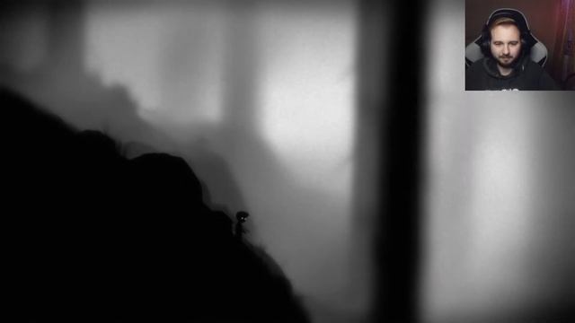 Limbo | ПРОХОЖДЕНИЕ #1 🔴 смотреть онлайн