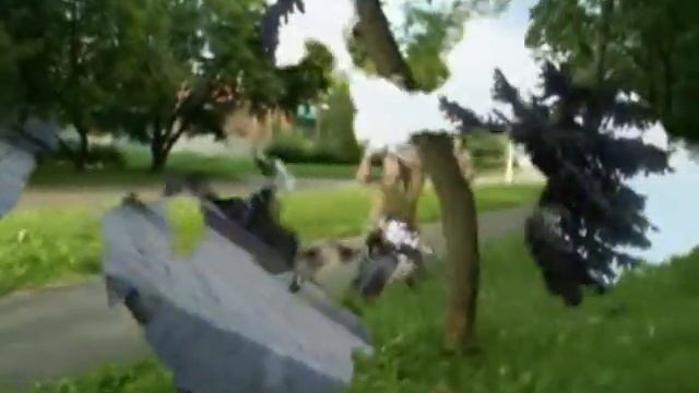 BMX 2004-1 season смотреть онлайн