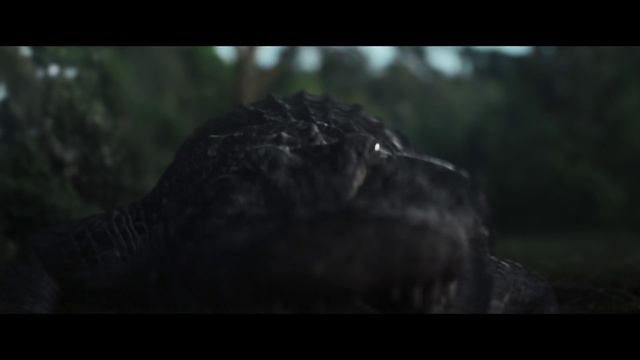 Абсолютный хищник Трейлер смотреть онлайн