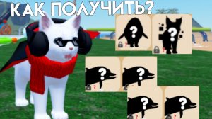 КАК ПОЛУЧИТЬ ВСЕХ СЕКРЕТНЫХ КОТОВ И ДЕЛЬФИНОВ | Игра с котятами роблокс | Kitten game roblox