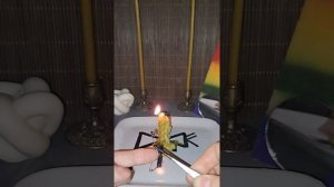 ЖЕЛУДОК. ПОРЧА на желудок. ОПОИ, ОКОРМЫ. Восстановление флоры, кислотности. Боль. Спазмы