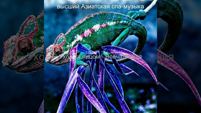 Атмосфера (СПА-процедуры) смотреть онлайн
