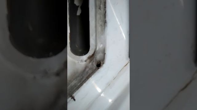 Газ 2410 (Для Д2) смотреть онлайн
