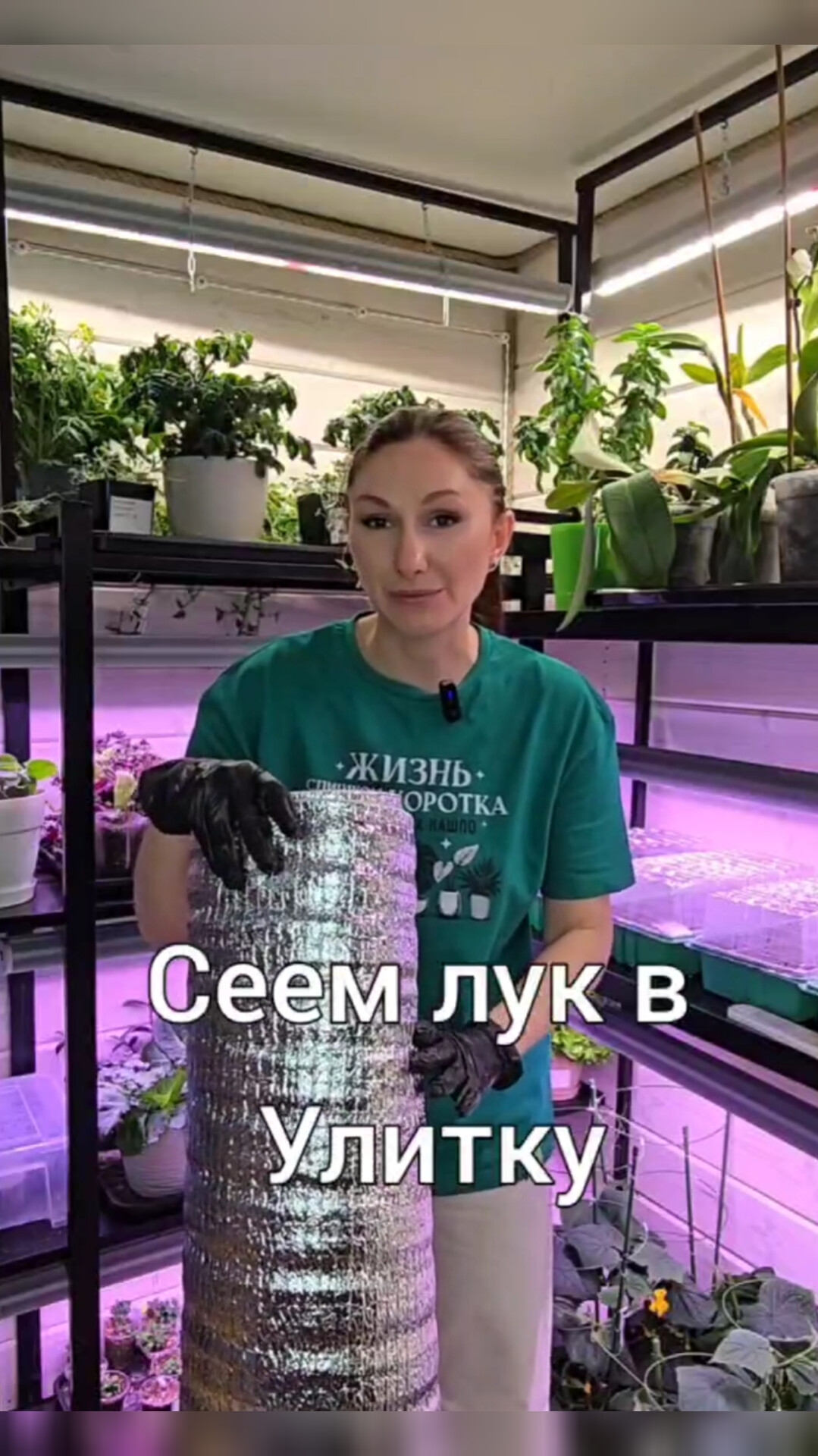 Посев лука в улитку. смотреть онлайн