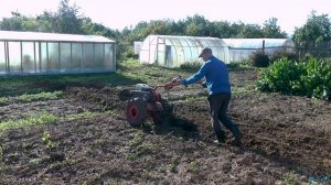 Вспашка поперек грядок обычным плугом. Всё как у всех и немного иначе! ))