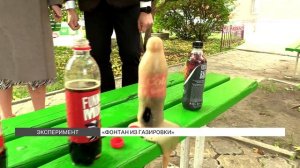 Фонтан из газировки: провели эксперимент с Колой и Mentos